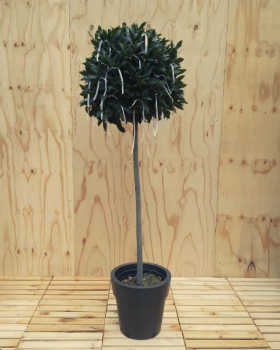 Laurier bol versierd