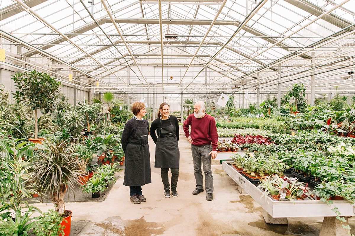 Ons fantastische team van De Bloemenloods staat elke dag paraat voor de mooiste bloemen en boeketten. 
