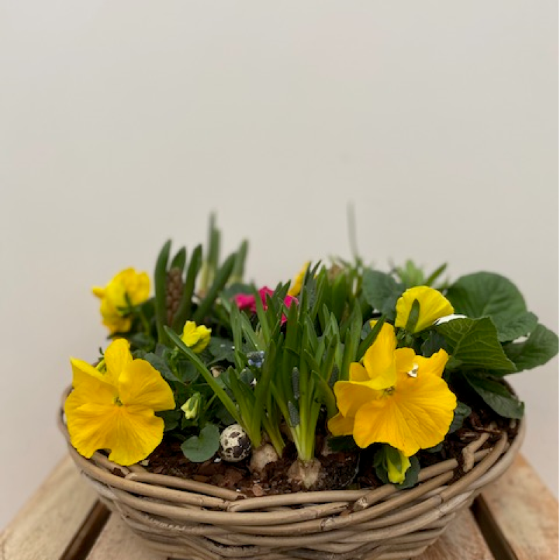 GetImage (6)